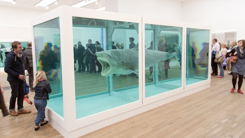 Steve Cohen's 14-foot Preserved Shark