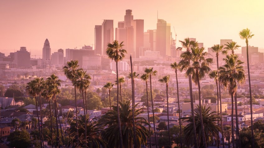 Beautiful sunset of Los Angeles downtown skyline and palm trees in foreground.