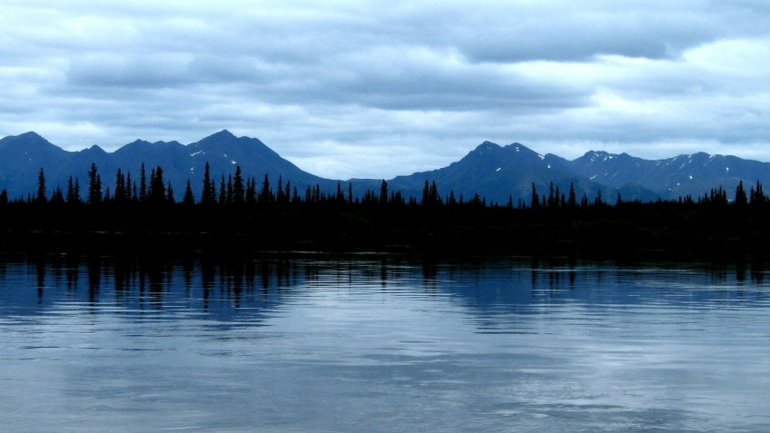 Blue sky, blue mountains, and blue water make the spruce trees and their reflection striking along the Kobuk River.