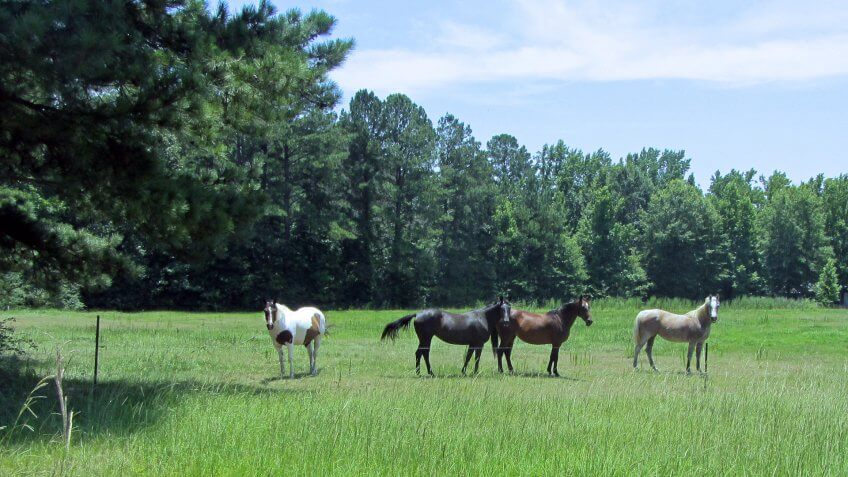 Leake-County-Mississippi