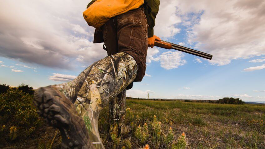 pheasant-hunting-montana-grasslands