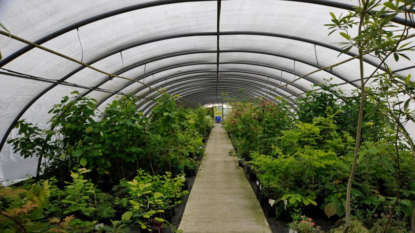 Greenhouse