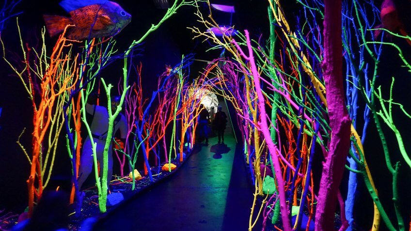 ART, Meow Wolf, New Mexico, Santa Fe, Travel, destinations, family, hidden gems, museum, travel destination, vacation