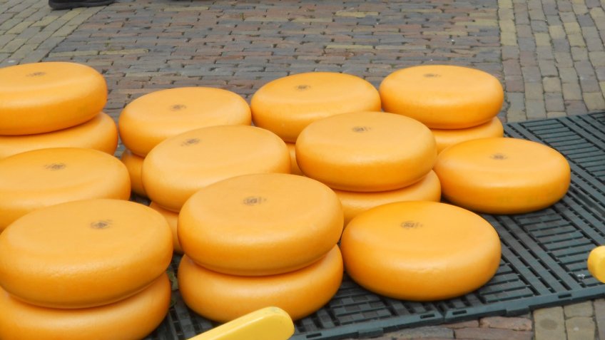 Cheese