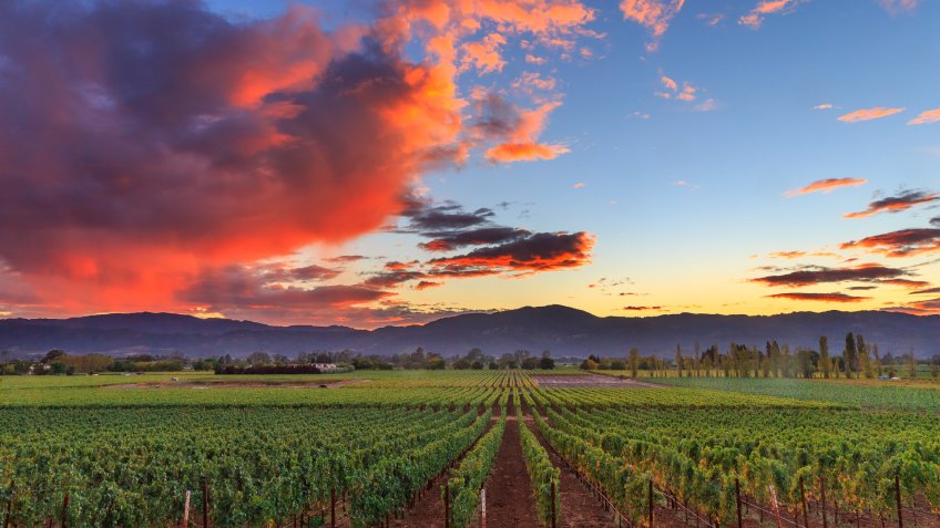 Napa Valley wine country mountain hillside vineyard growing crops for grape harvest and winery winemaking.