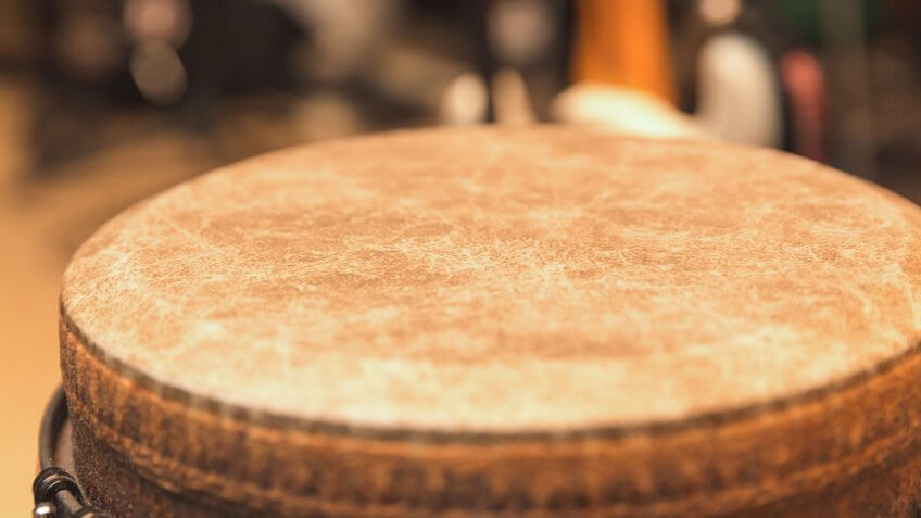 Head or skin of djembe drum.