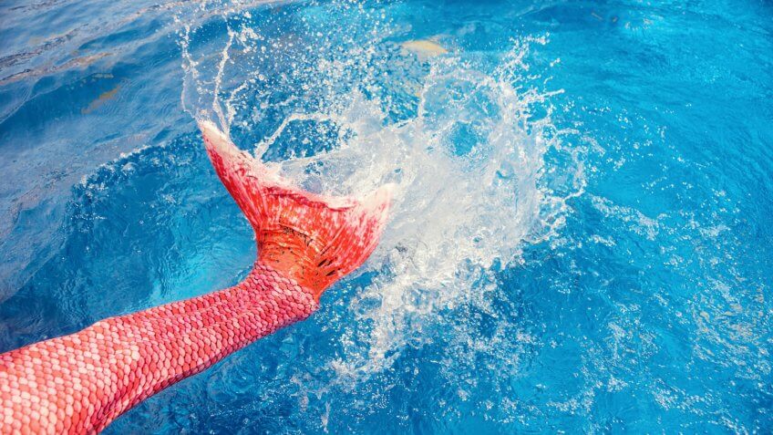 mermaid