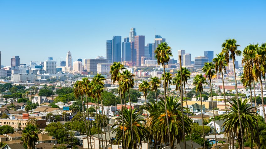 Los Angeles, California, USA downtown skyline and palm trees in foreground.