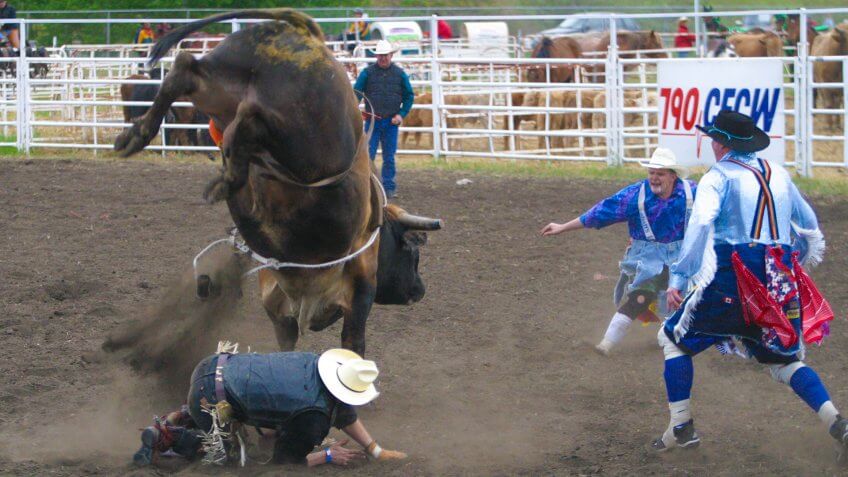 bull riderKEYWORDS:horizontal,editorial,rodeo,men,people,sport,outdoors,outside,dust,danger,animal,bull,rider,horns,tough,bull_fighters,clowns,hooves.