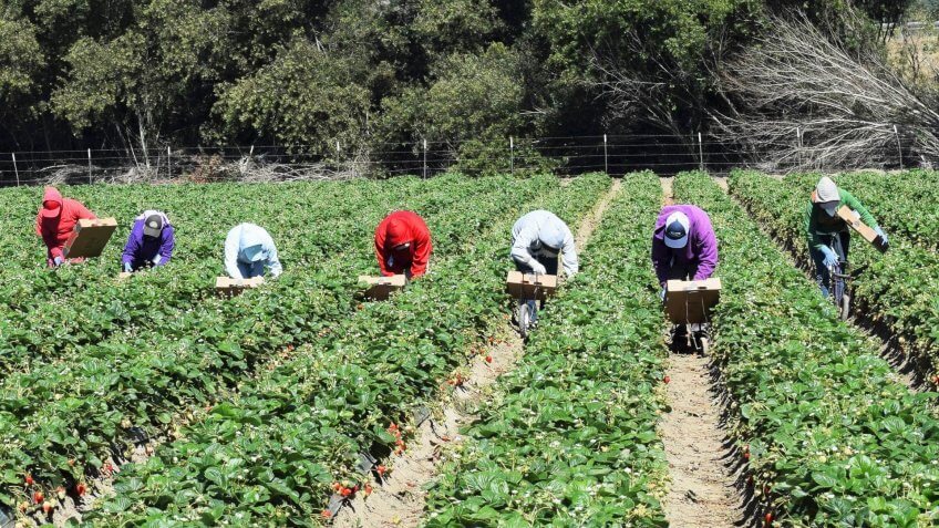 agriculture-workers