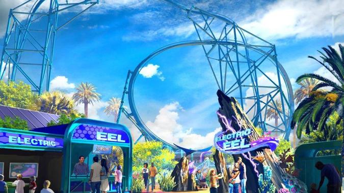 Electric Eel at SeaWorld in San Diego