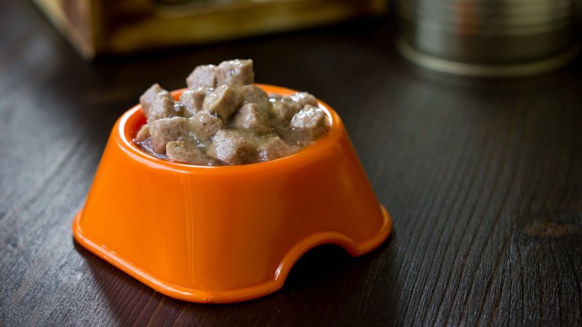 pet food