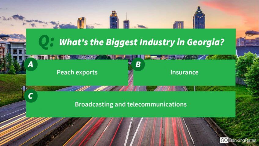 Georgia industries