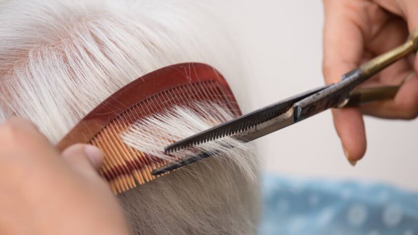 Hair stylist cutting senior woman's gray hair.