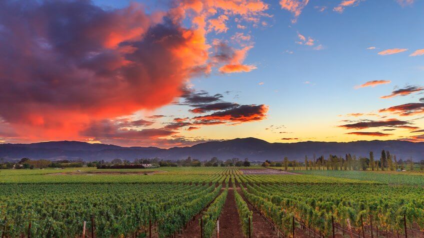 Napa Valley wine country mountain hillside vineyard growing crops for grape harvest and winery winemaking.