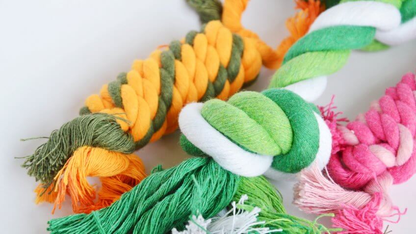 pet toys
