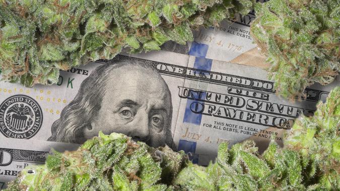 marijuana investment stocks