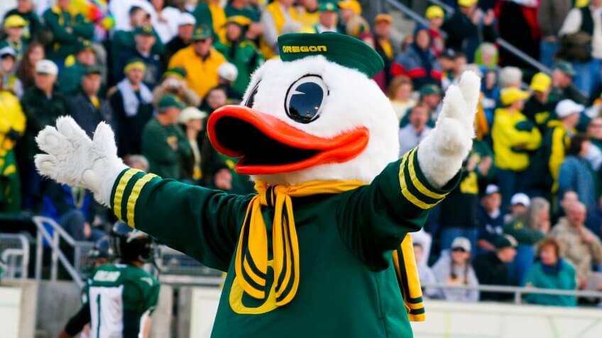 EUGENE, OR - OCTOBER 28, 2006: Oregon duck mascot Puddles holds his arms wide to the crowd at the start of the UO vs PSU football game at Autzen Stadium.
