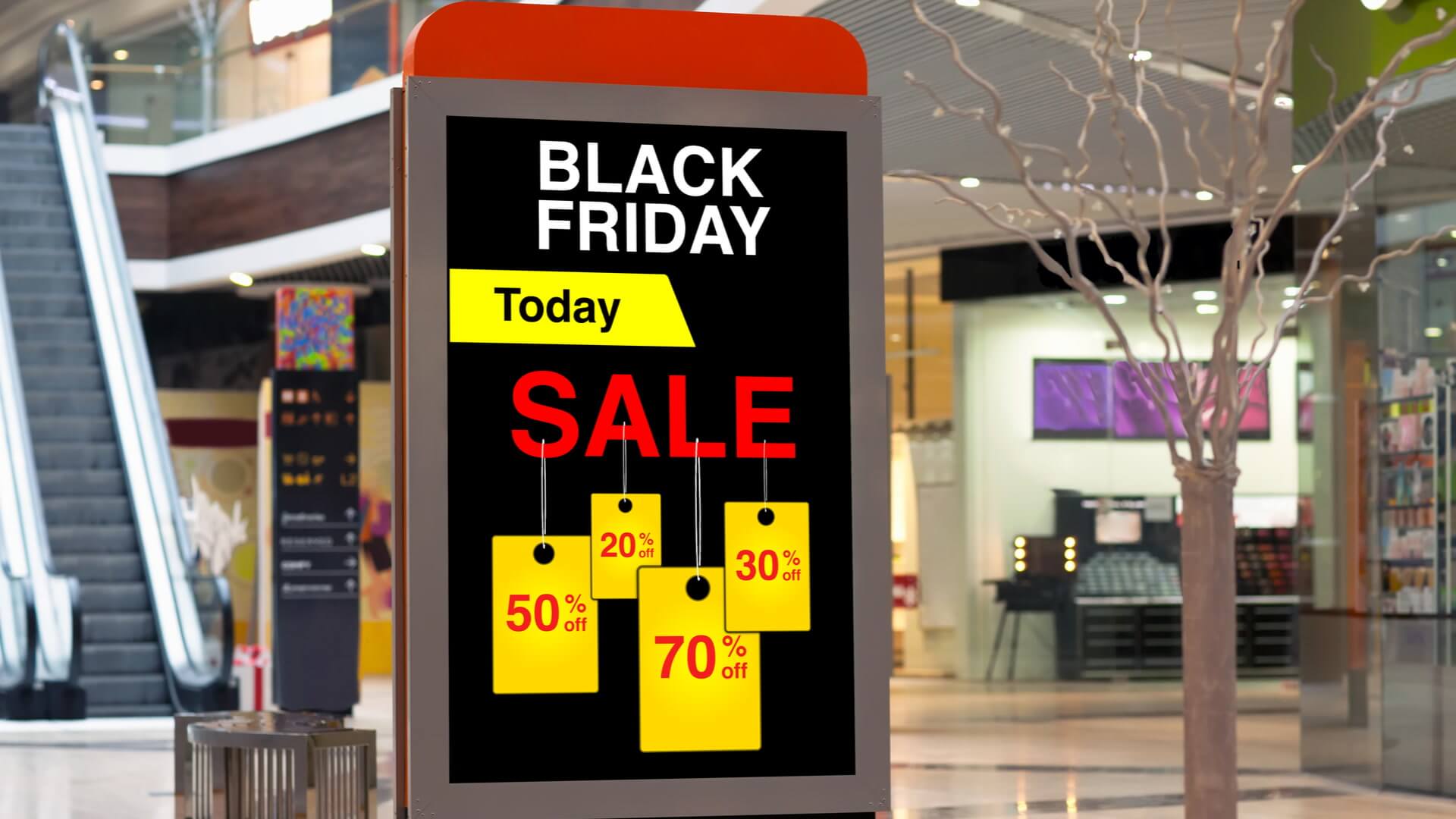 I’m a Shopping Expert: 5 Stores That Usually Offer the Best Black Friday Deals