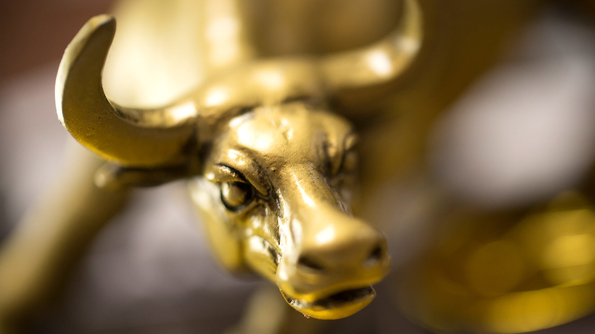 shot of a golden bull on top of coins.