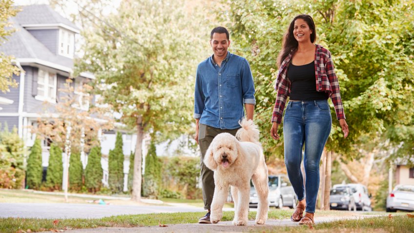 Couple Walking Dog Along Suburban Street.