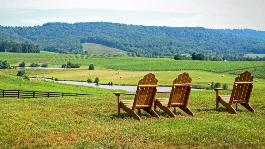 AMERICA, Charlottesville, President Trump, Trump Vineyard Estates, Viriginia, homes, real estate