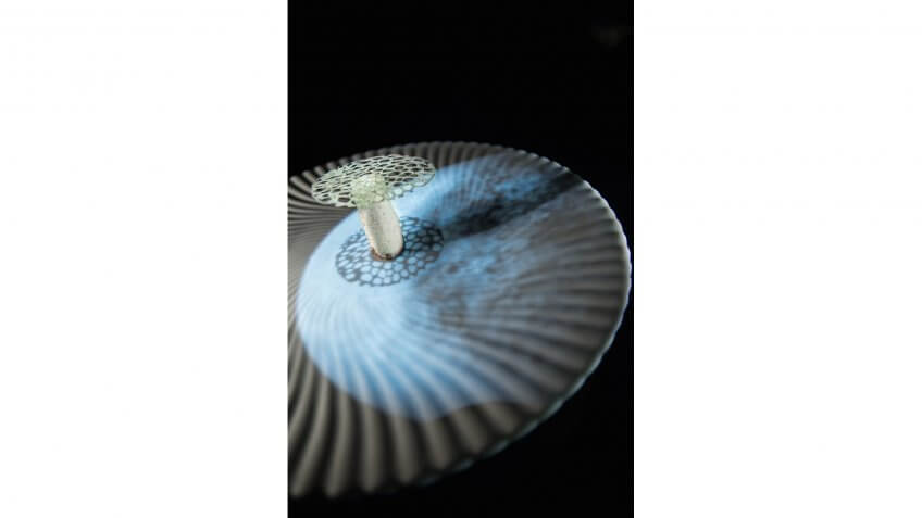 Lunar Mushroom, Ultraviolet