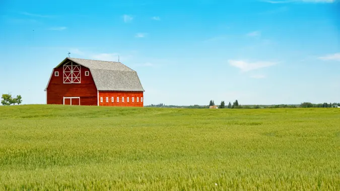 Red barn and summer wheat crop.