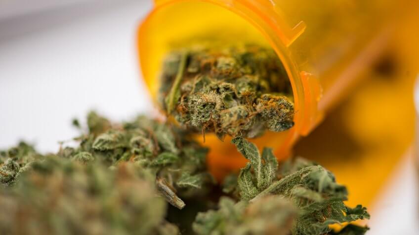 Closeup of medical marijuana bud flowers in a prescription pill bottle.