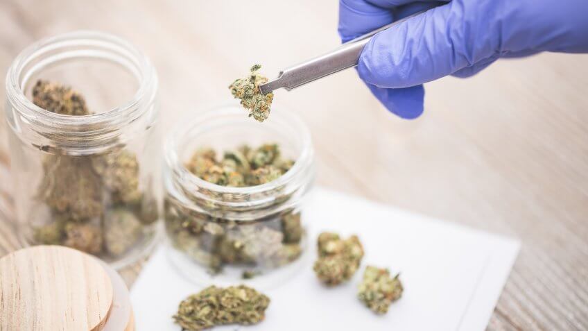 A stock photo of some Medical Marijuana Buds.