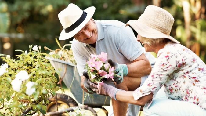 senior couple gardening