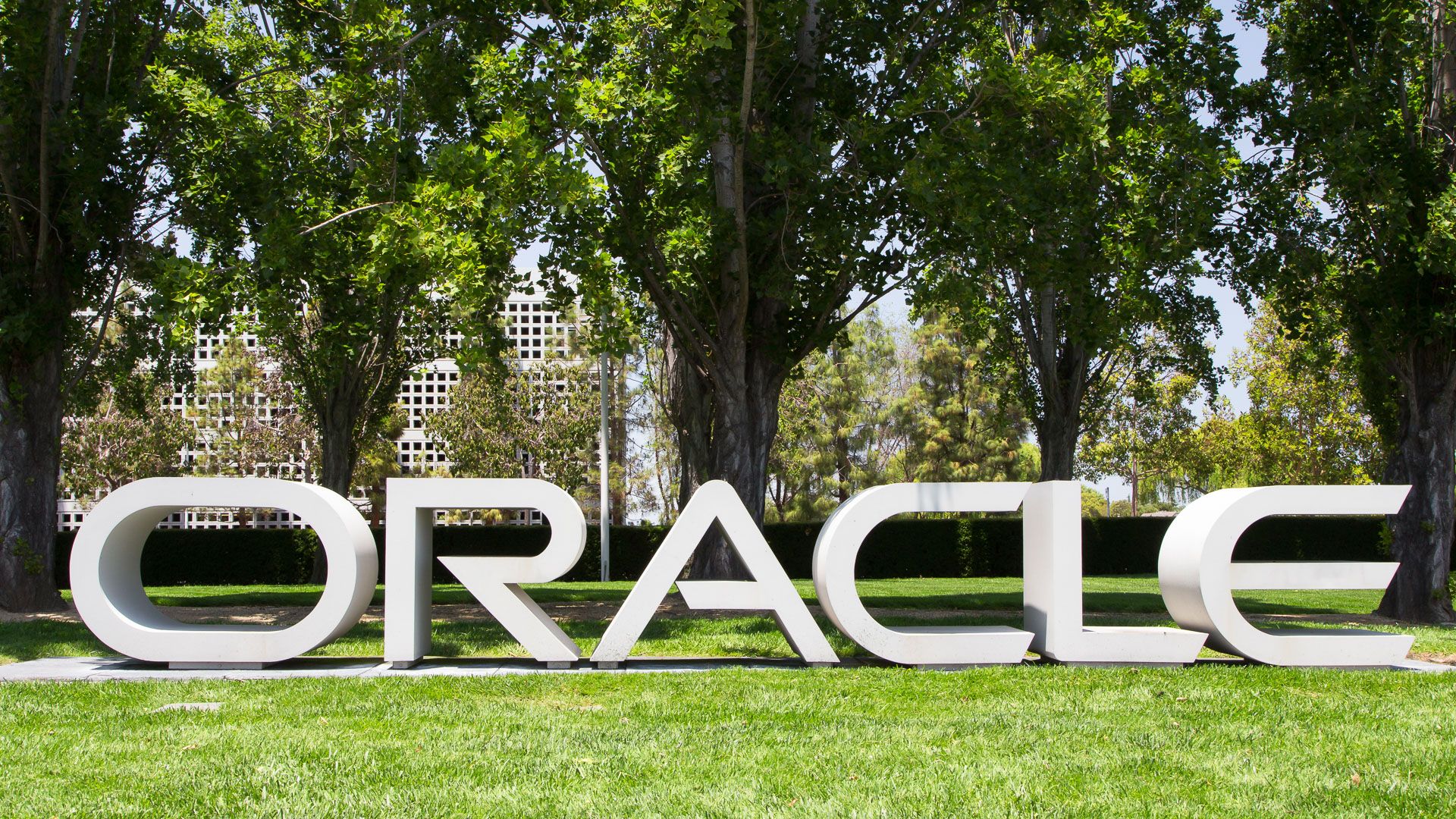oracle marketcap