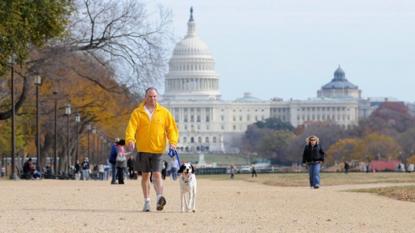 man-walking-dog-in-Washington-DC