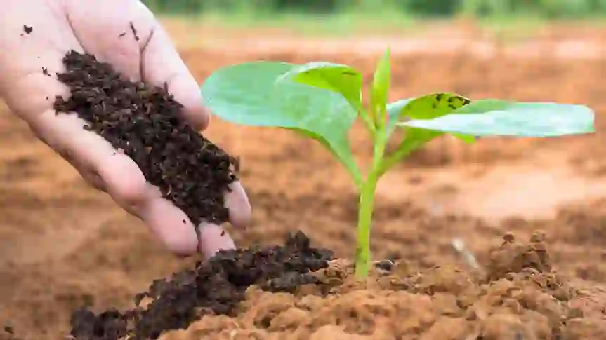 7 Best Fertilizer Stocks To Invest In for February 2023