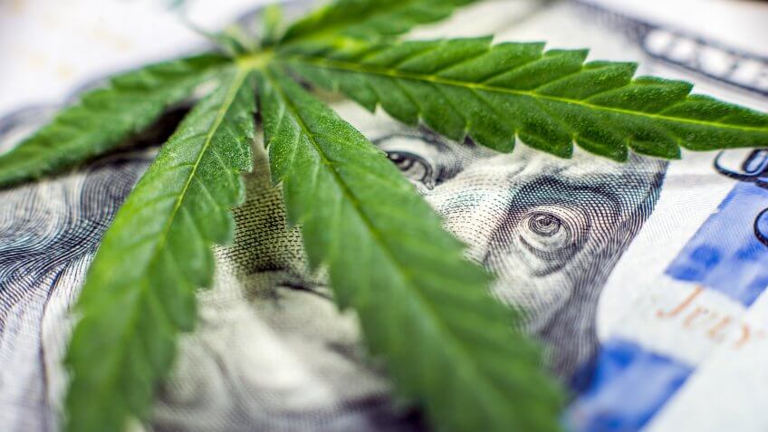 Business in cannabis.