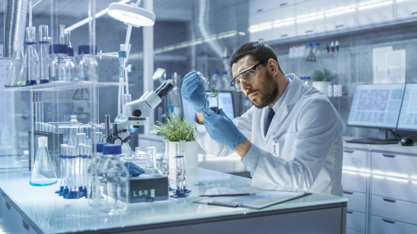 Stock, shares, NASDAQ, S&P 500, money, In a Modern Laboratory Research Scientist Conducts Experiments by Synthesising Compounds with use of Dropper and Plant in a Test Tube.