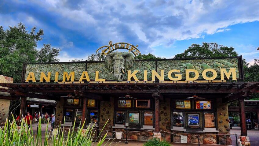 Animal Kingdom at Walt Disney World