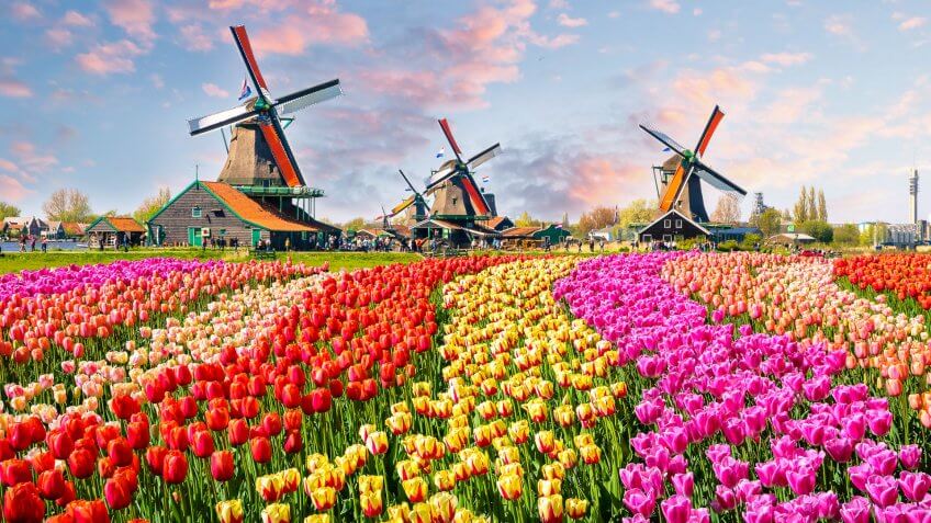 Netherlands