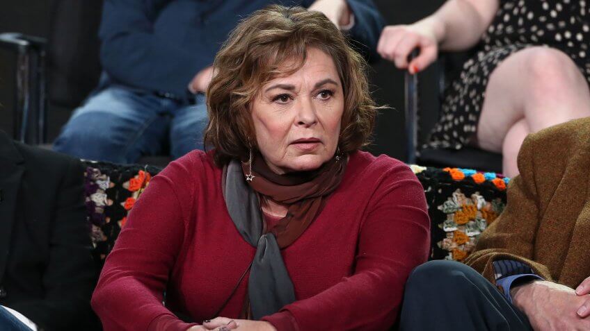 Mandatory Credit: Photo by David Buchan/Variety/REX/Shutterstock (9310212h)Roseanne BarrABC 'Roseanne' TV show panel, TCA Winter Press Tour, Los Angeles, USA - 08 Jan 2018.