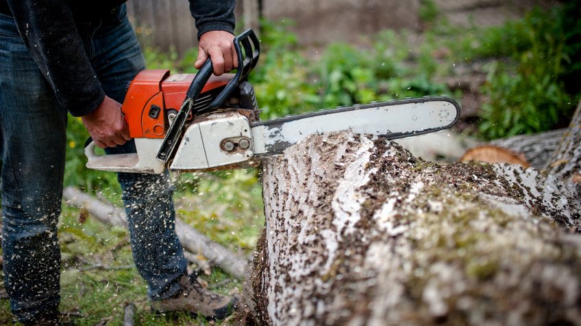 man cutting trees using an electrical chainsaw and professional tools.
