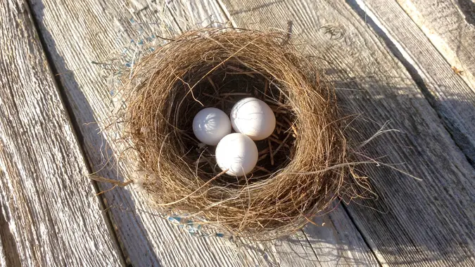 nest with three white eggs on wooden floor.