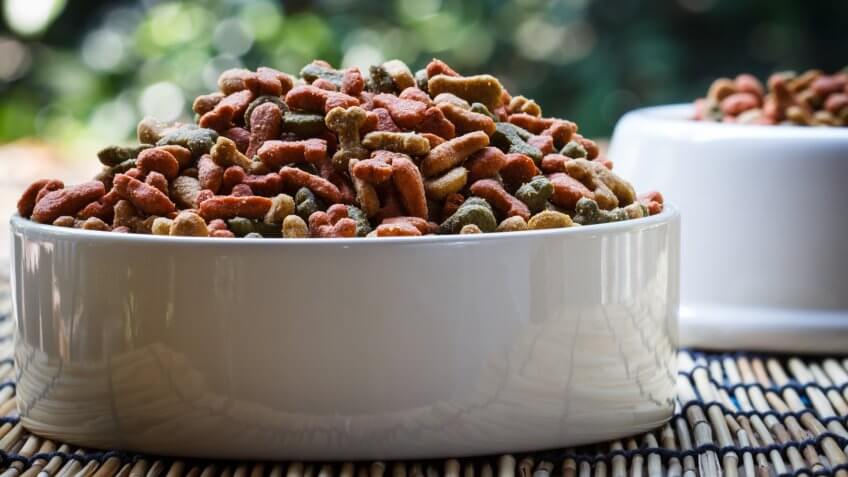 Dogs food in a white cup.