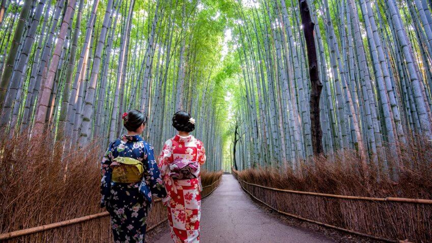 Arashiyama Bamboo Grove in Kyoto, Japan