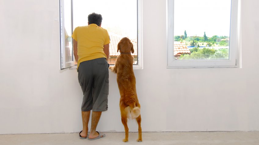 man and his dog looking through window back view.