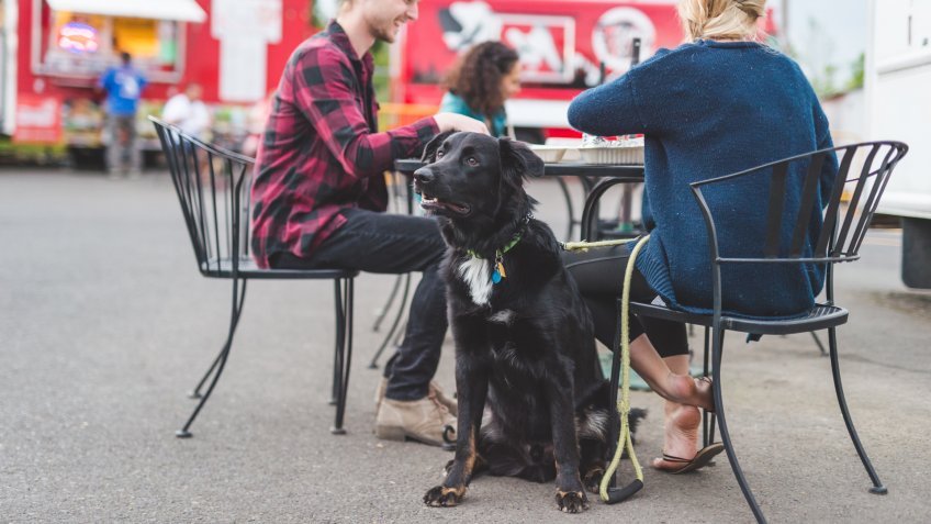 Group of hipster friends in their 20s and 30s enjoy lunch at an outdoor food cart.