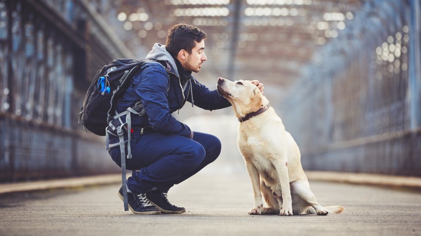 Man with his yellow labrador retriever on the old bridge.