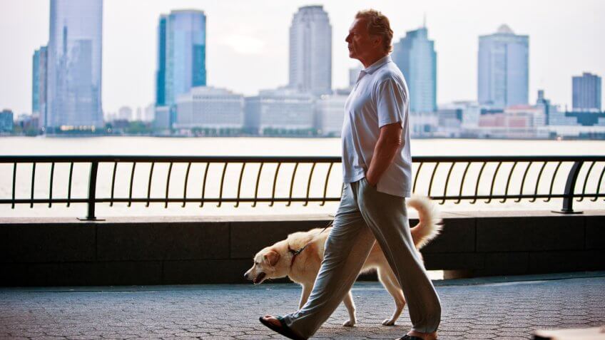New York, USA - May 28, 2012: Mature Man walking the dog in New York.