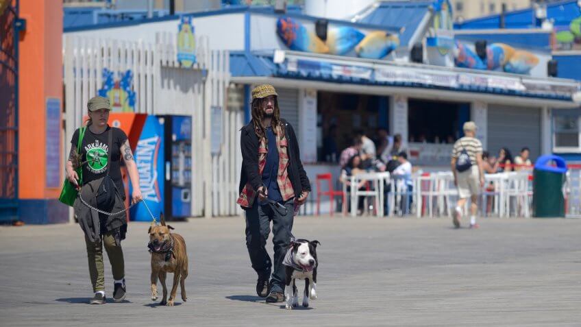 New York, USA - May 12, 2016: Two people walking their dogs on the Coney Island Boardwalk.