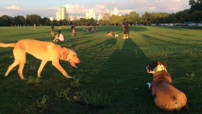 Zilker Park.