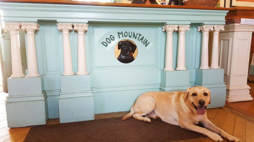 Dog Chapel, St.